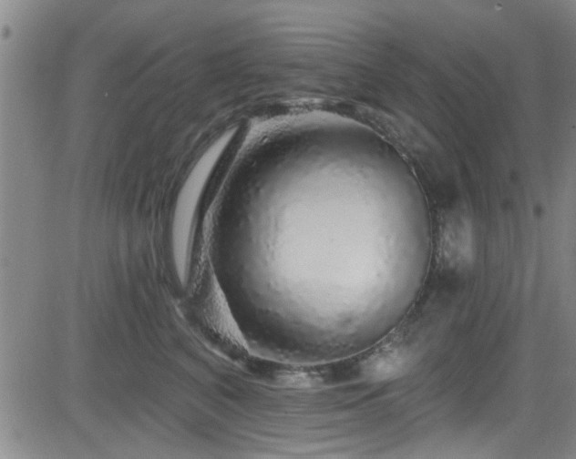 X0000083020616200702021116