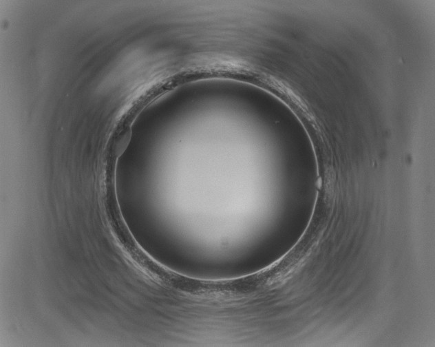 X0000083020629200702021115