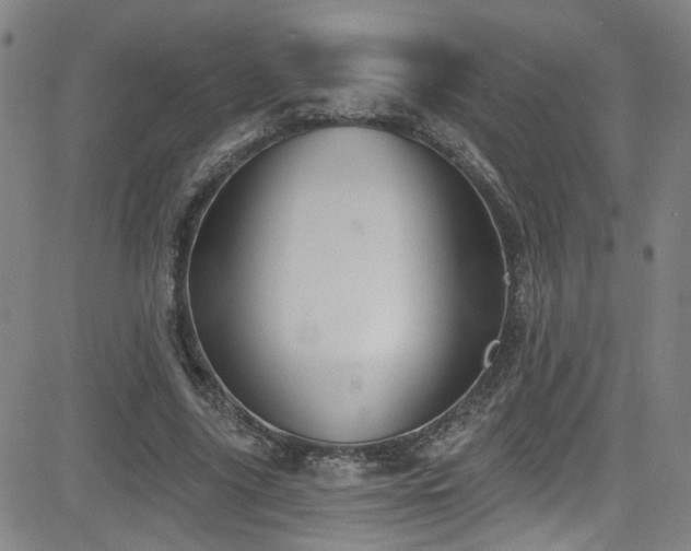 X0000083020635200702021115