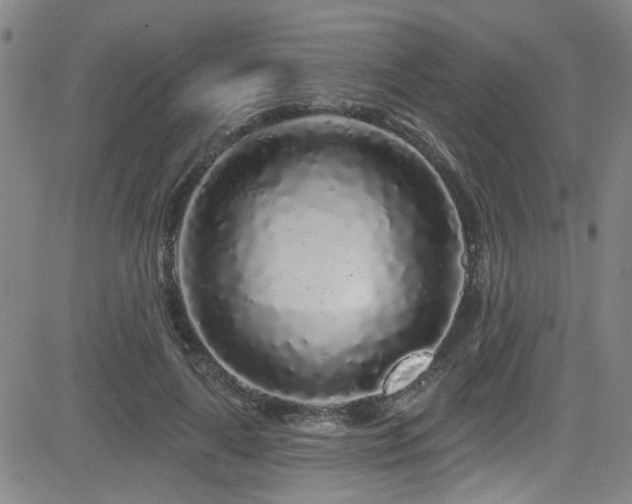X0000083020643200702021116