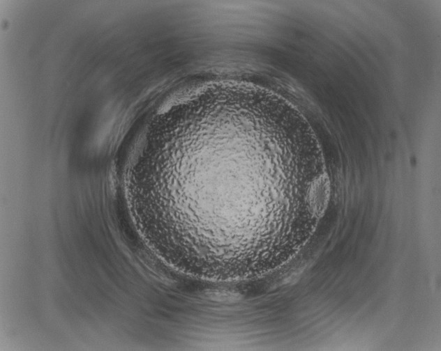 X0000083020644200702021116