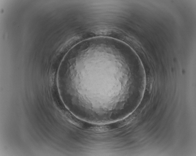 X0000083020652200702021116