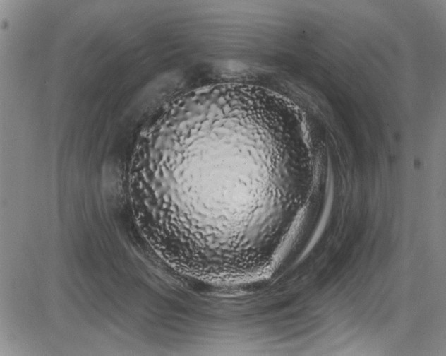 X0000083020653200702021116