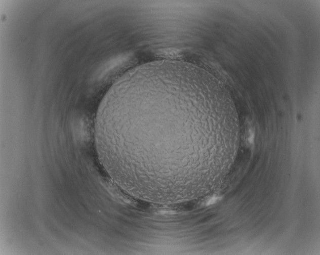 X0000083020658200702021116