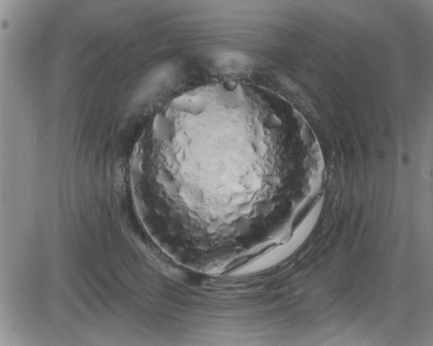 X0000083020662200702021116