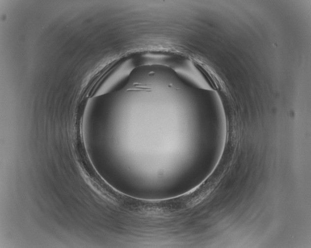 X0000083020677200702021115