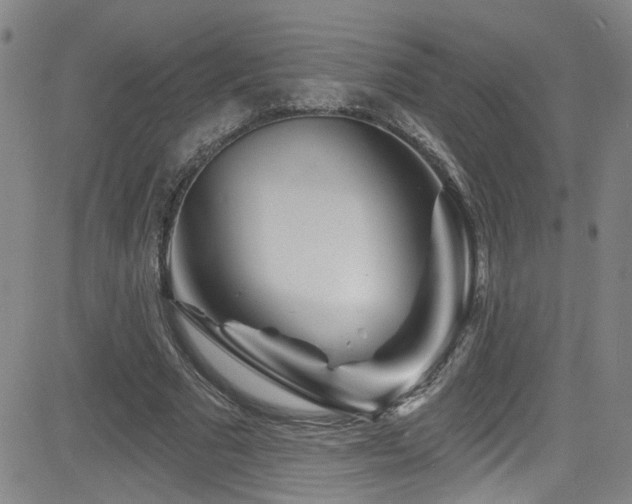X0000083020681200702021115