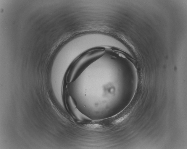 X0000083020685200702021115