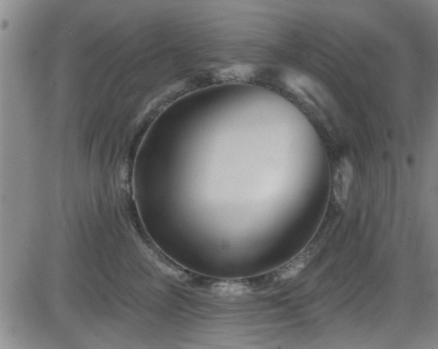 X0000083020714200702021115