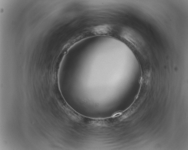 X0000083020763200702021114