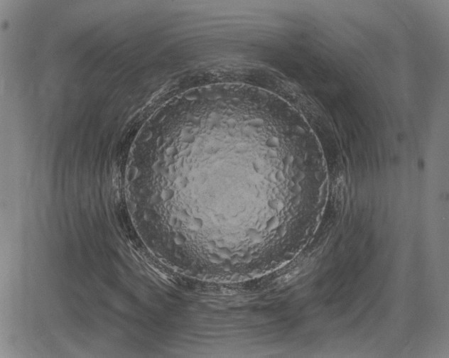 X0000083020772200702021114