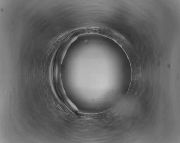 X0000083020773200702021114