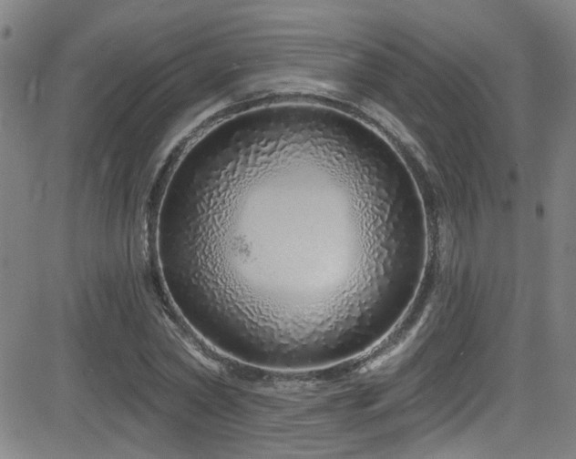 X0000083020782200702021113