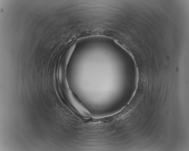 X0000083020818200702021112