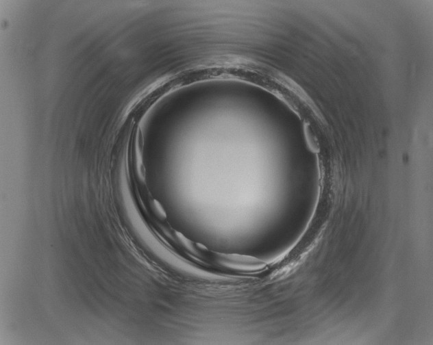 X0000083020826200702021112