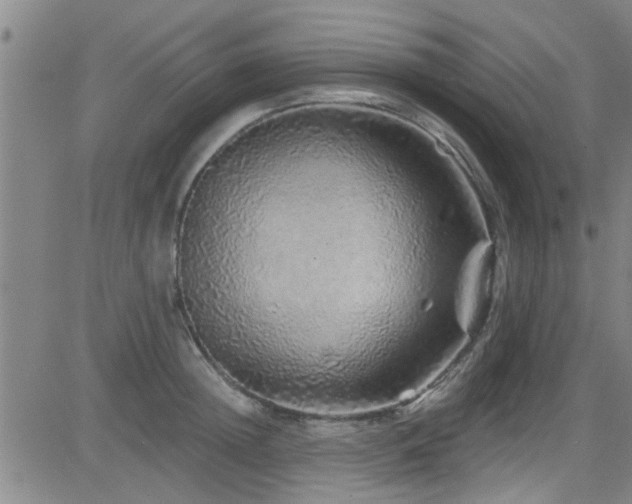 X0000083020852200702021113