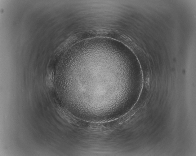 X0000083020866200702021112