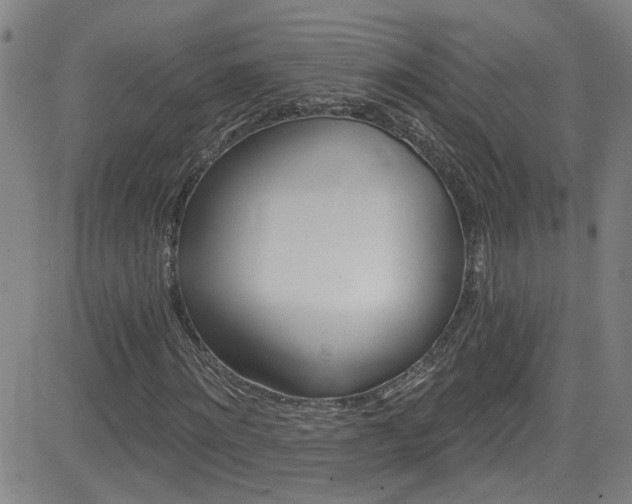 X0000083020868200702021112