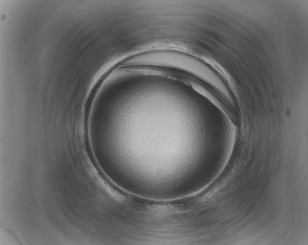 X0000083020894200702021112