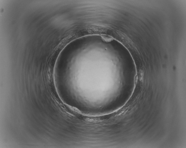 X0000083020915200702021111