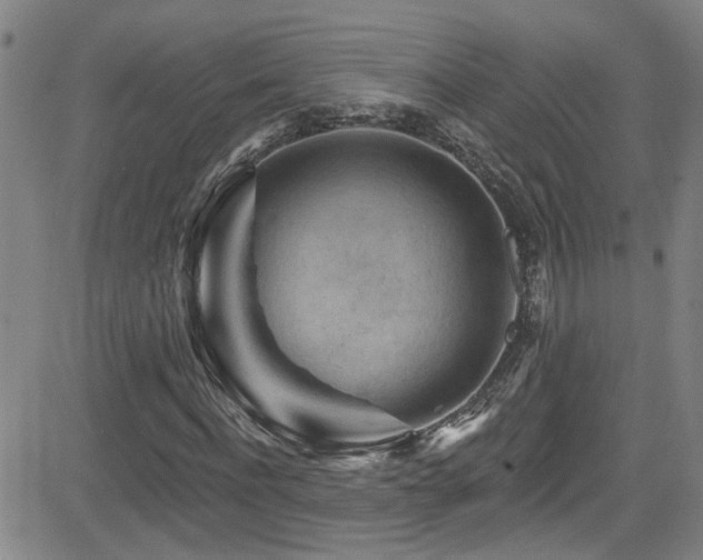 X0000083020916200702021111