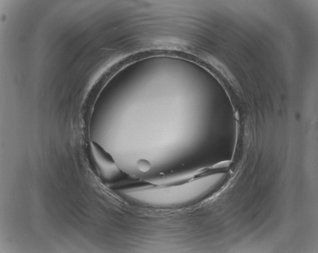 X0000083020926200702021111