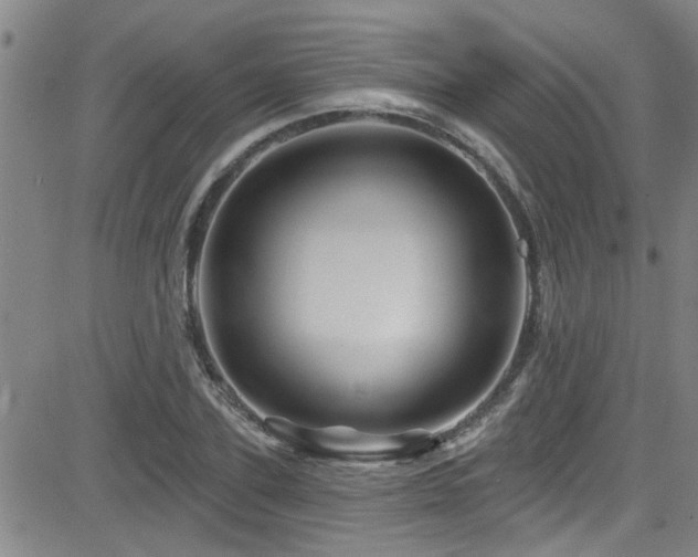 X0000083020931200702021111