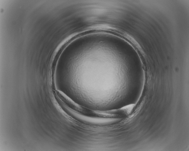 X0000083020939200702021111