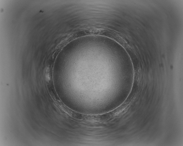 X0000083020962200702021110