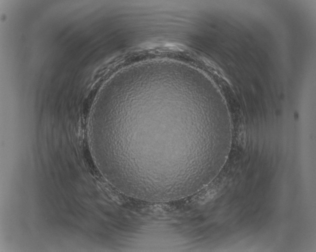 X0000083020966200702021110