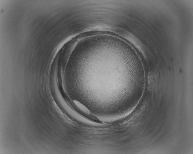 X0000083020972200702021110