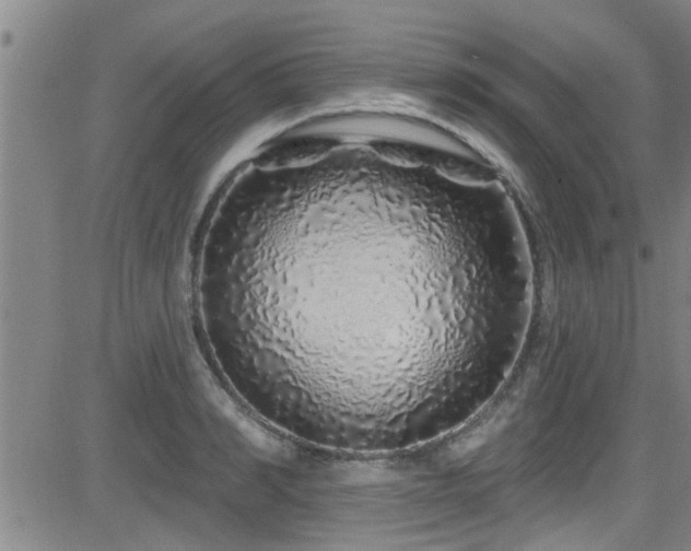 X0000083020990200702021110
