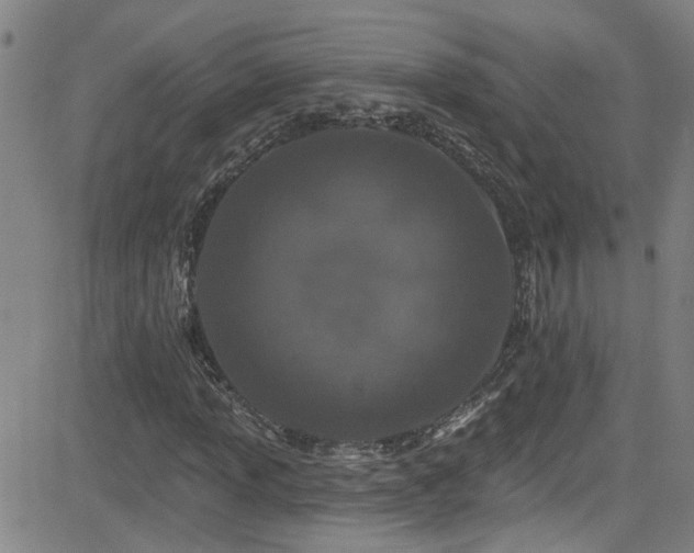 X0000083021013200702021109