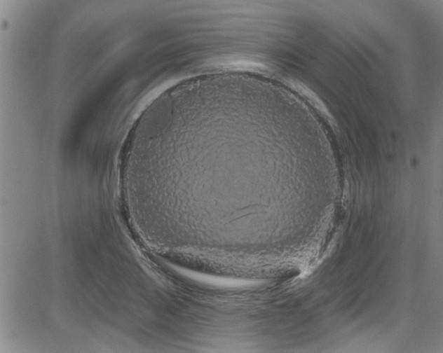 X0000083021031200702021109