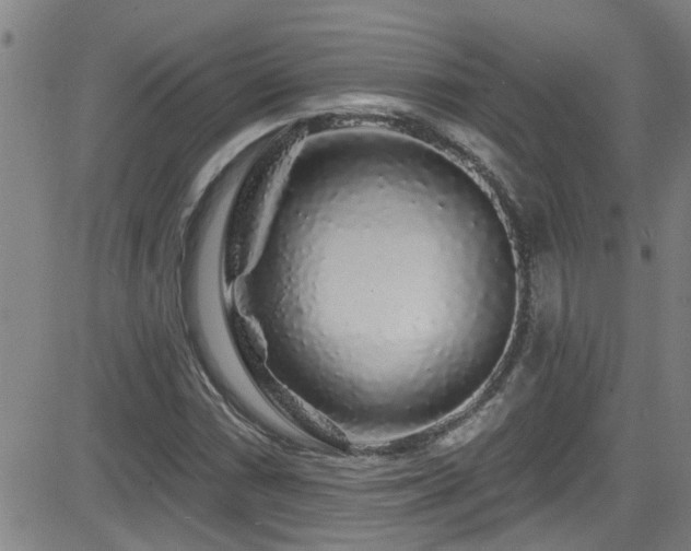X0000083021066200702021109