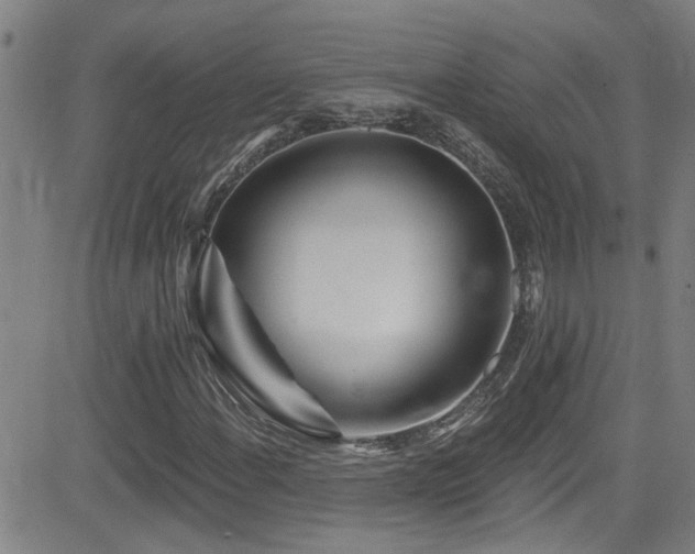 X0000083021108200702021107