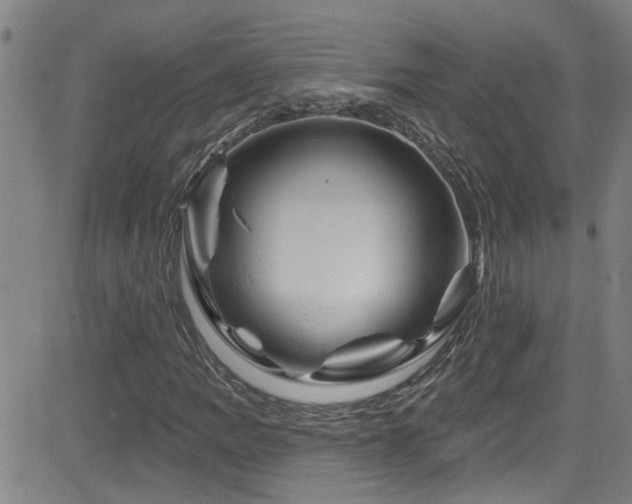 X0000083021109200702021107