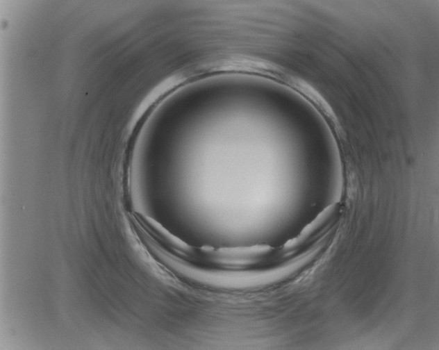 X0000083021138200702021108