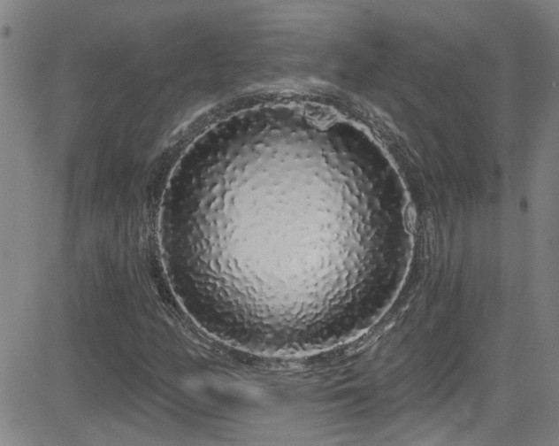 X0000083021158200702021107
