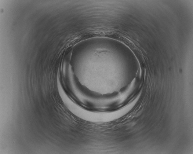 X0000083021202200702021106