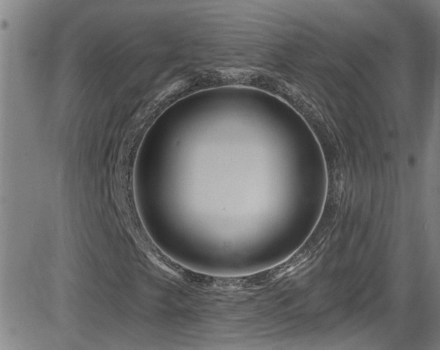 X0000083021249200702021106