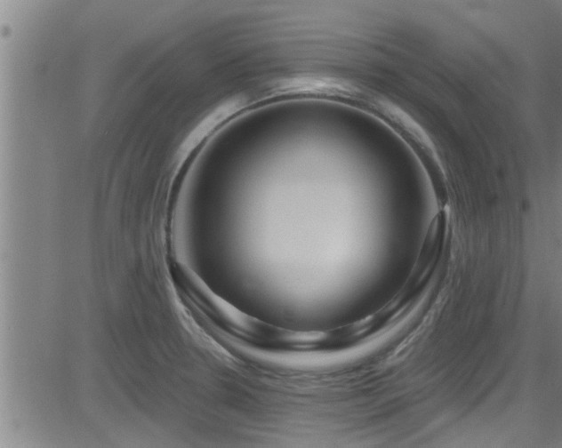 X0000083021330200702021105