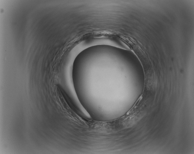 X0000083021345200702021104