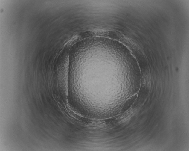 X0000083021346200702021104
