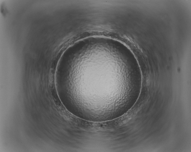 X0000083021350200702021104