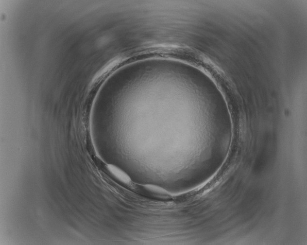 X0000083021354200702021104
