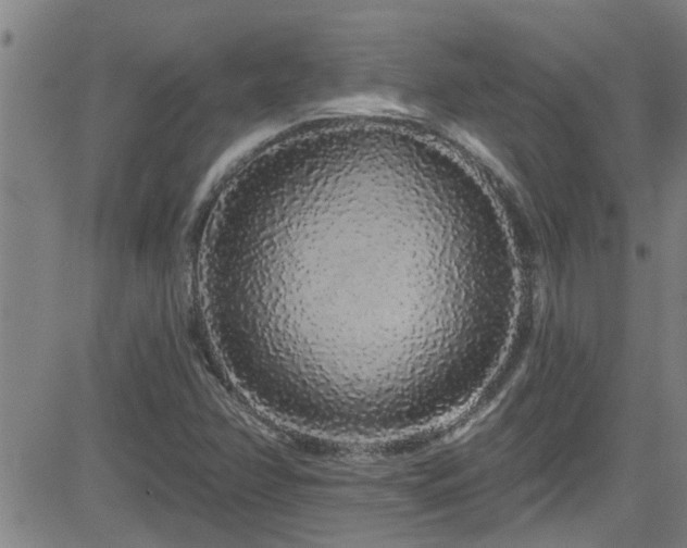 X0000083021358200702021104