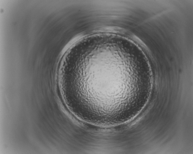 X0000083021378200702021104