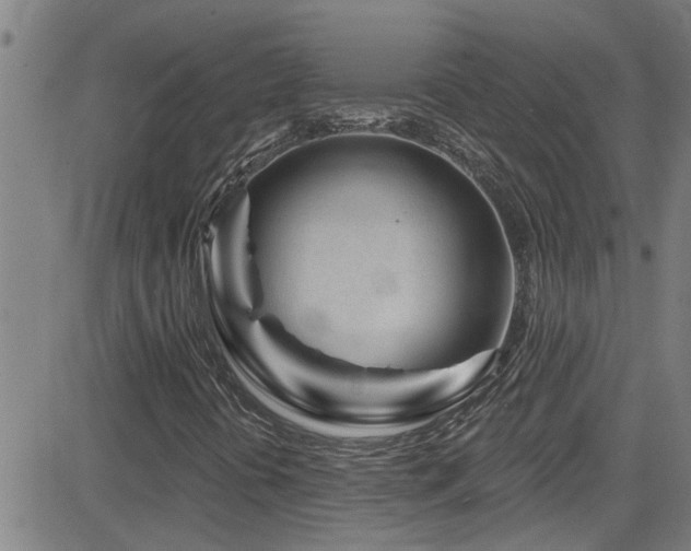 X0000083021394200702021103