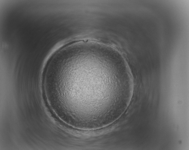 X0000083020006200702091329